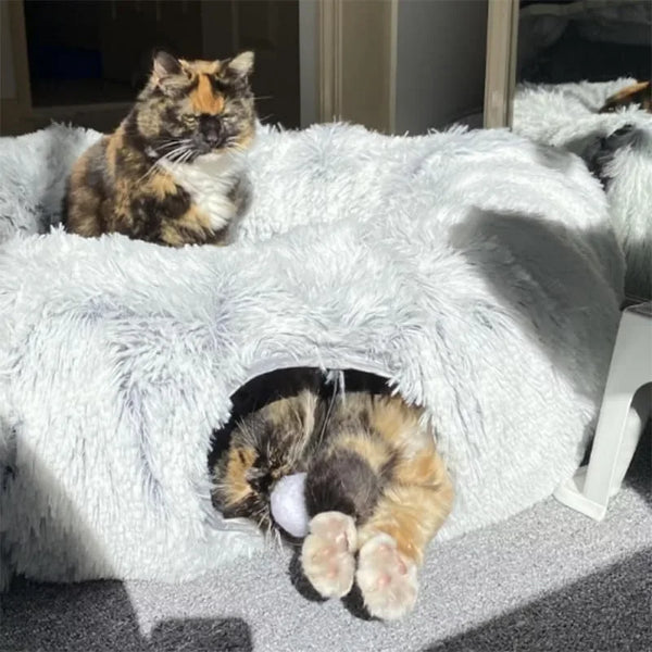 Kattunnel och Mysig Säng