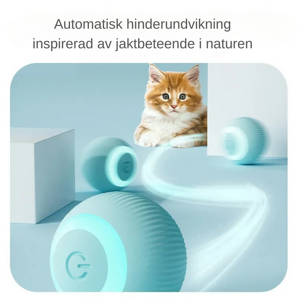 Lekfull Rullande Kattboll