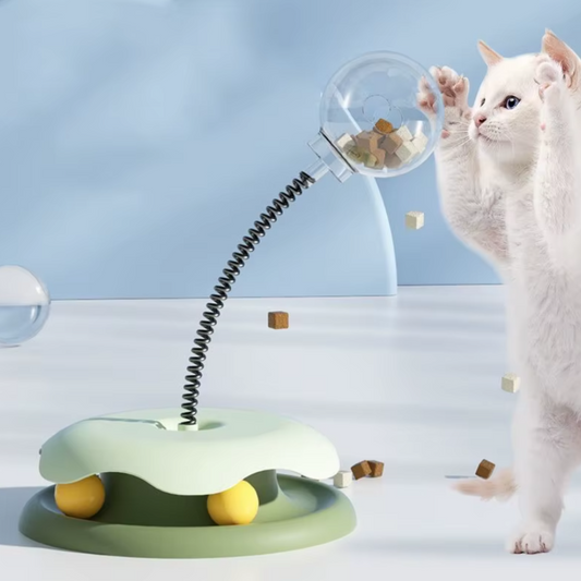 Kattens Lek- och Matglädje