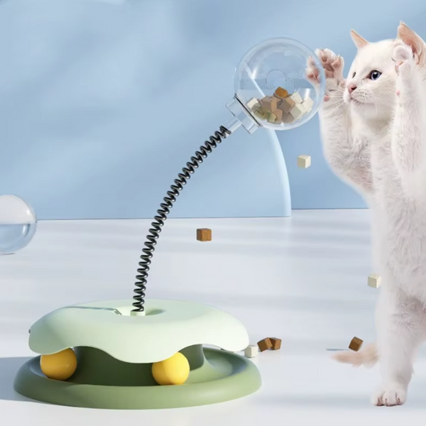 Kattens Lek- och Matglädje