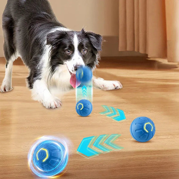 Interaktiv Hundboll med Ljus