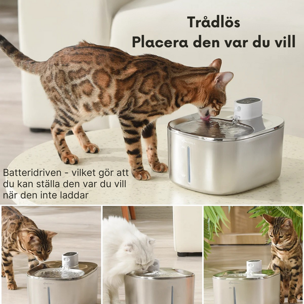 Trådlös Kattvattenfontän