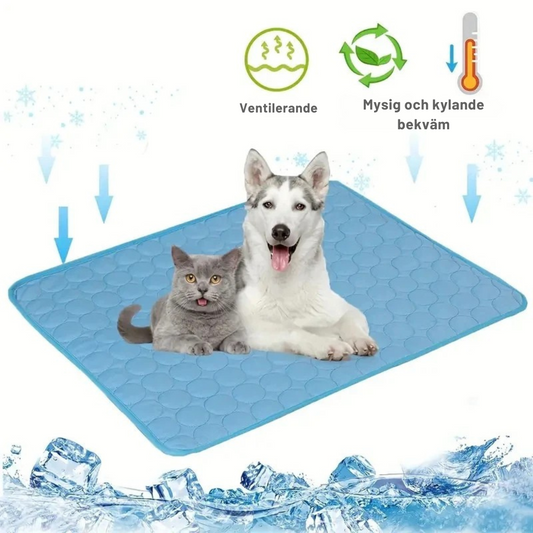 Kylmatta för Hund och Katt