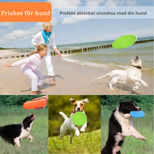Frisbee - för hund