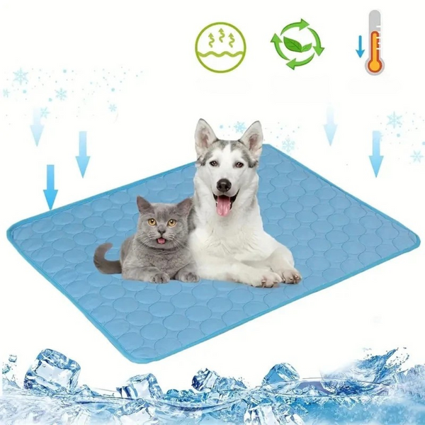 Product placeholder