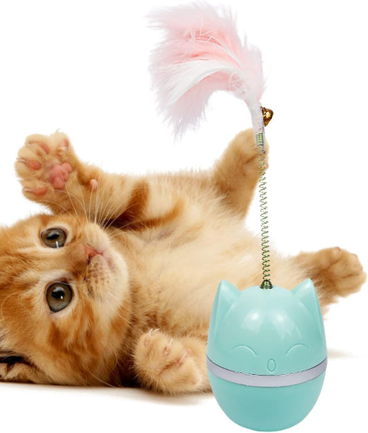 Rolig Gungleksak Katt