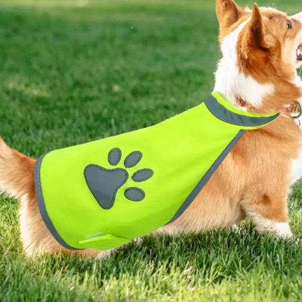 Säkerhetsväst för Hundar