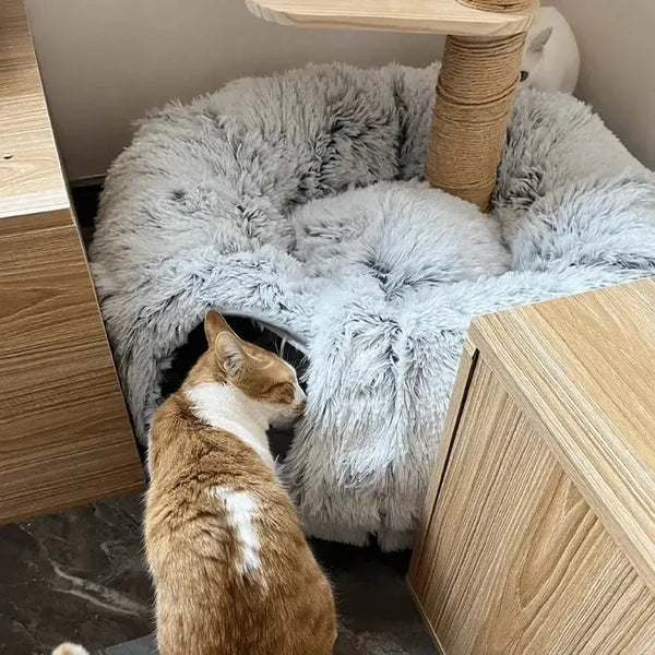 Kattunnel och Mysig Säng