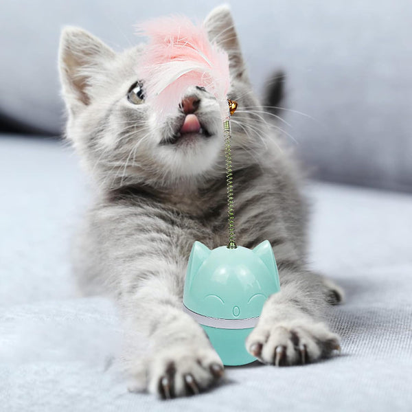 Rolig Gungleksak Katt